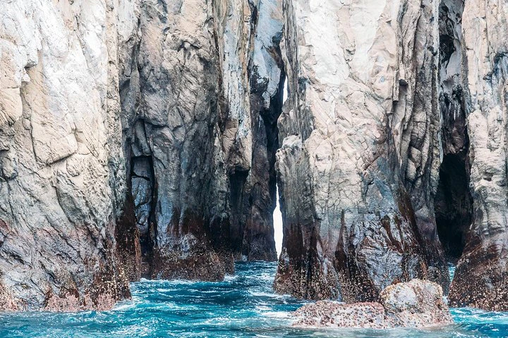 Galápagos: recorrido de 9 días por Santa Cruz, Isabela y San Cristóbal - imagen #11