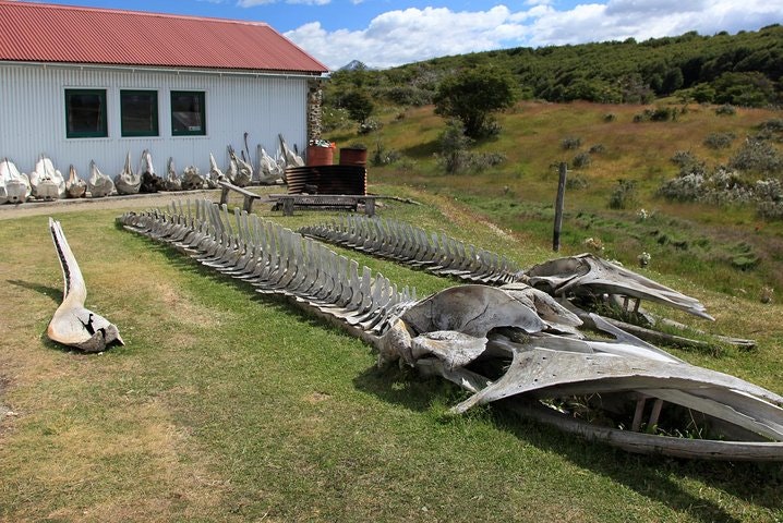 Estancia Harberton Museum Admission Ticket - imagen #4