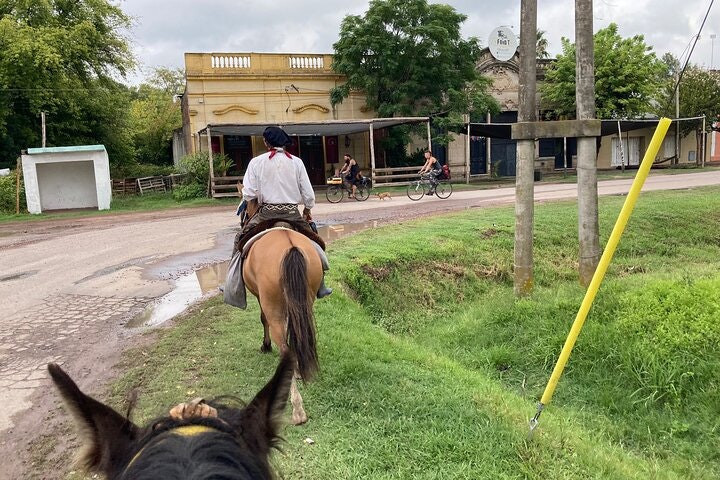 Horseback Riding Experience in Carlos Keen - imagen #13