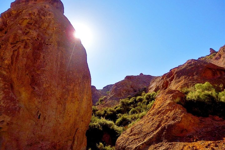 4-Day Trip to Mendoza by Air from Buenos Aires - imagen #12