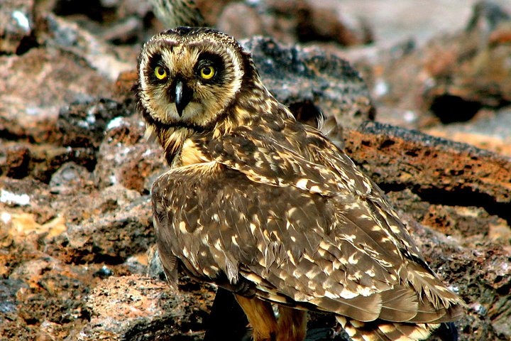 Unique Amazon Sustaintable Comunities Encounter in Ecuador - imagen #6