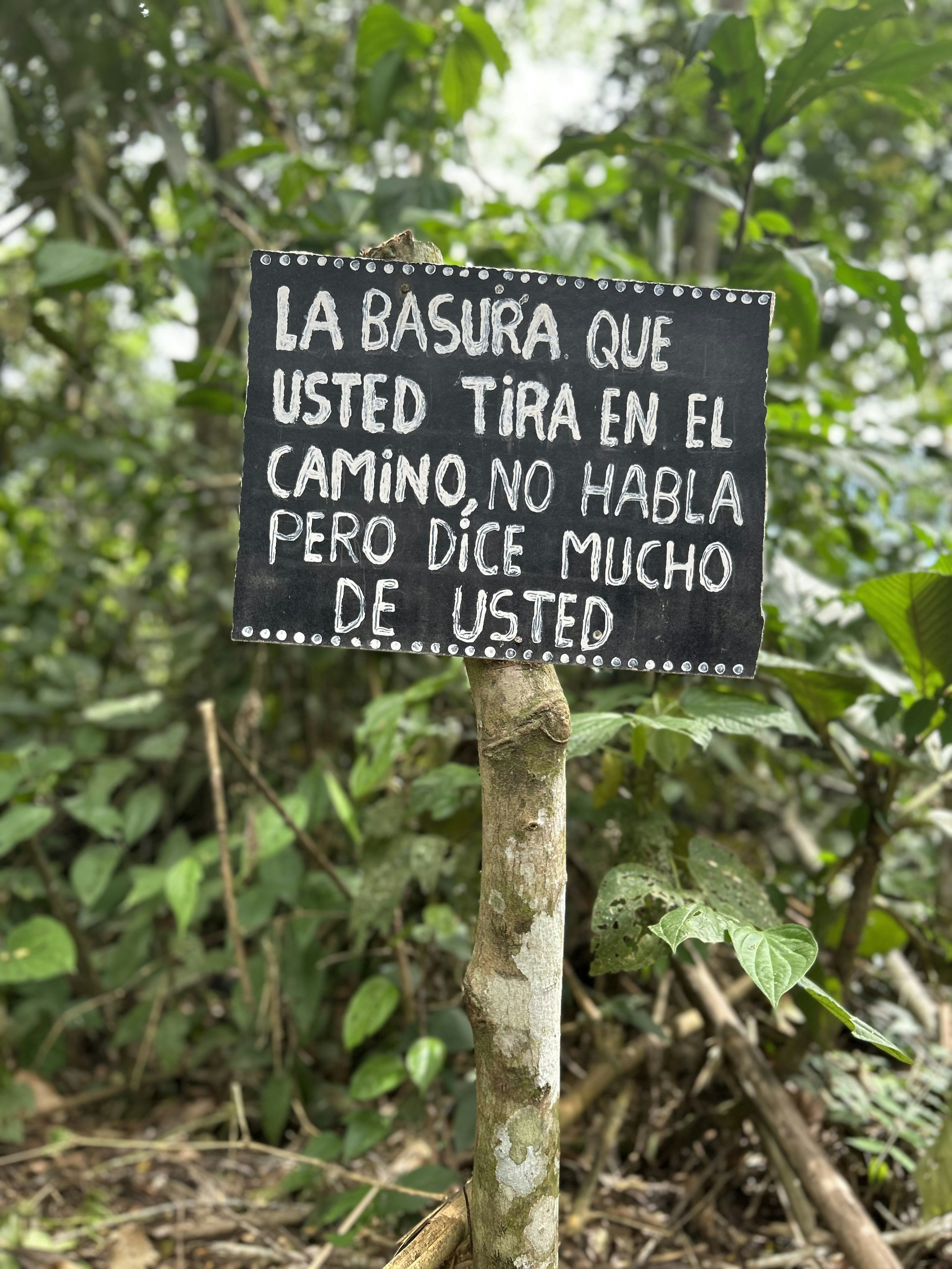 Cus-06 : Manu Rainforest Escape - 3 Days of Amazon Wildlife - imagen #9