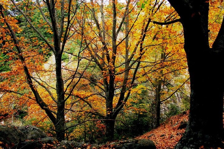 Full Day Tour to La Cumbrecita from Cordoba - imagen #4