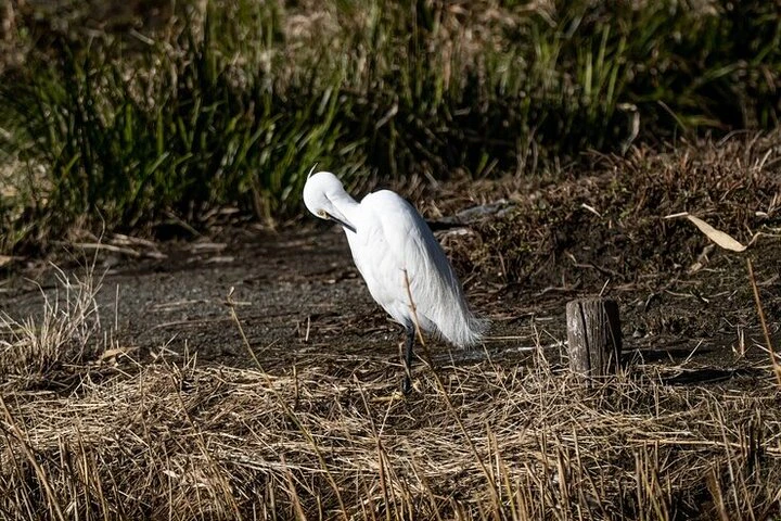 Private Tour from Guayaquil to Churute Ecological Reserve - imagen #2