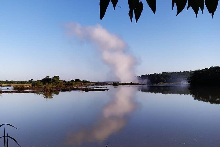 Jungle Wildlife Bike Tour to Iguazu National Park & Jaguar Road - imagen #9