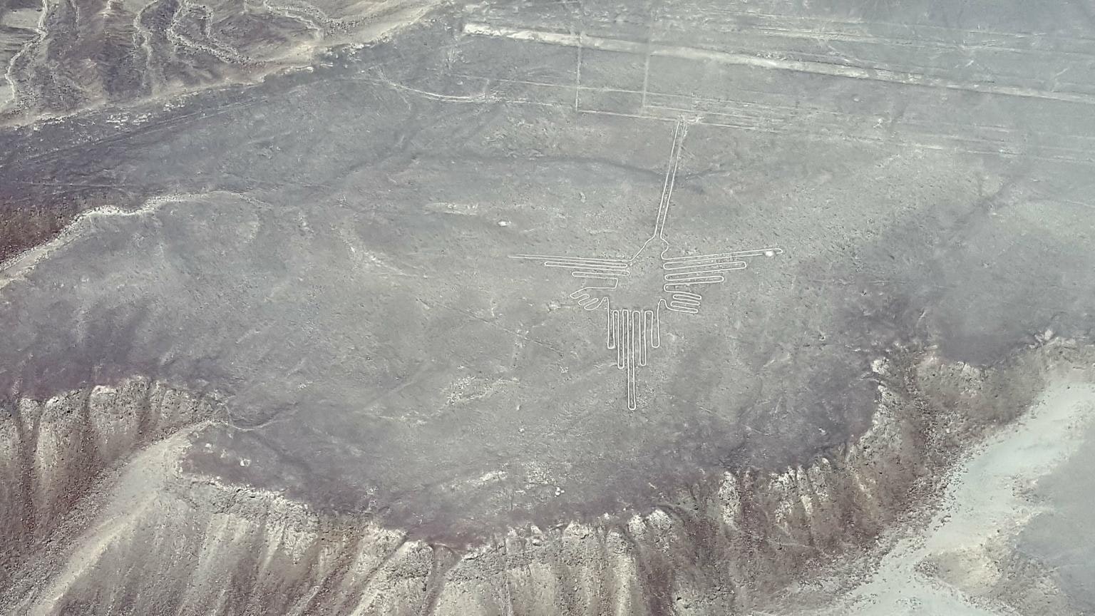 Excursión de día completo a las Líneas de Nazca desde Lima (autobús y vuelo) - imagen #4