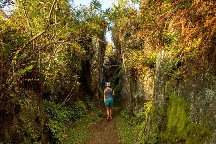 Excursión de día completo a Floreana - imagen #4