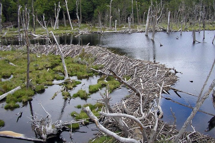 15-Day Trip from Patagonia to Rio de Janeiro - imagen #12