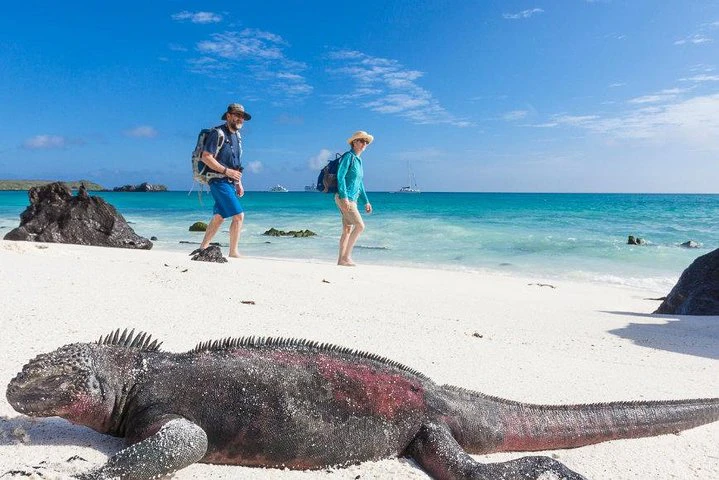 4 días en las Galápagos: las islas Isabela y Santa Cruz - imagen #2