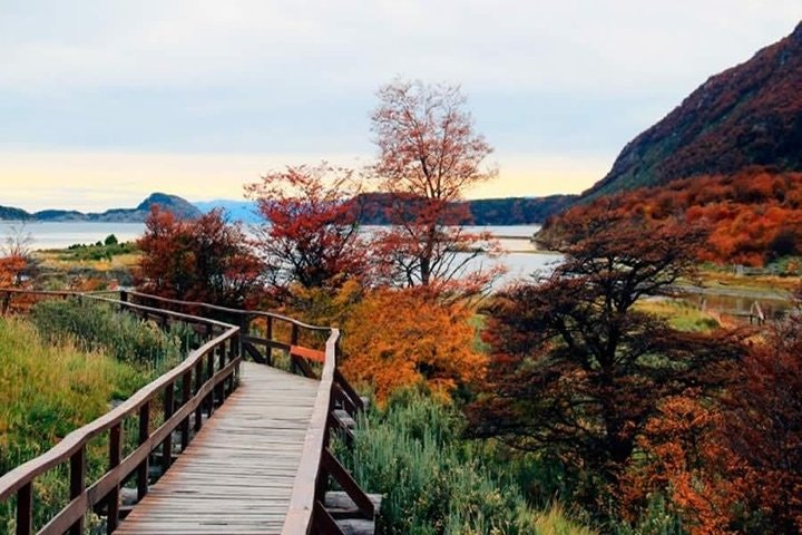 Ushuaia, Tierra del Fuego National Park - Half day - imagen #6