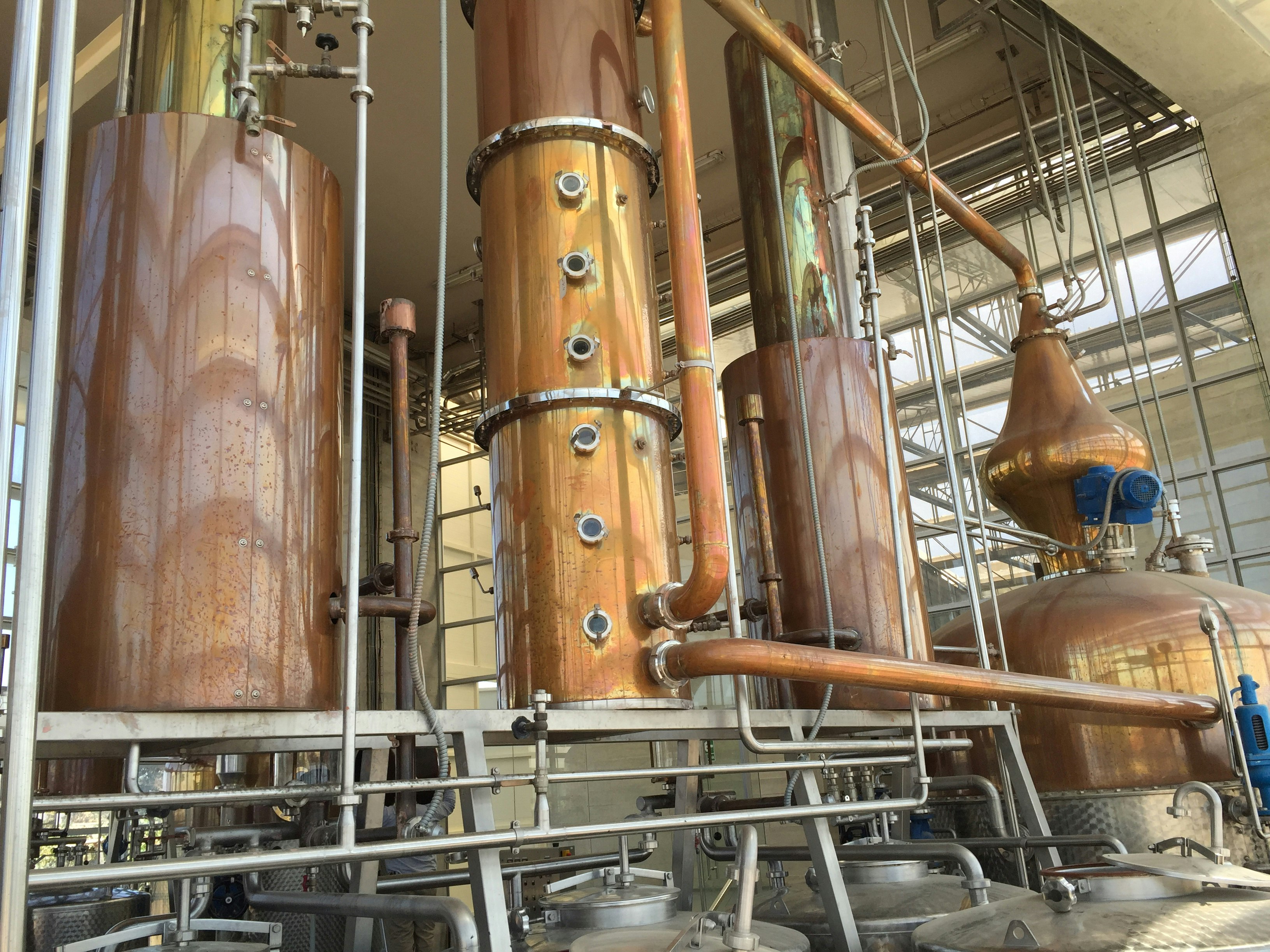 2-Day Pisco Tasting Journey in Ica with Viñas Queirolo Hotel Stay From Lima - imagen #12