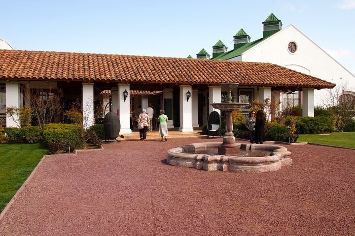 Casas del Bosque Vineyard with Lunch Menu included from Santiago - imagen #3