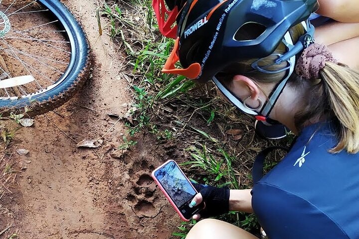 Jungle Wildlife Bike Tour to Iguazu National Park & Jaguar Road - imagen #13