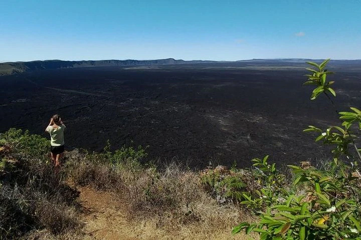 Excursión a la isla de Isabela: 3 días y 2 noches - imagen #5