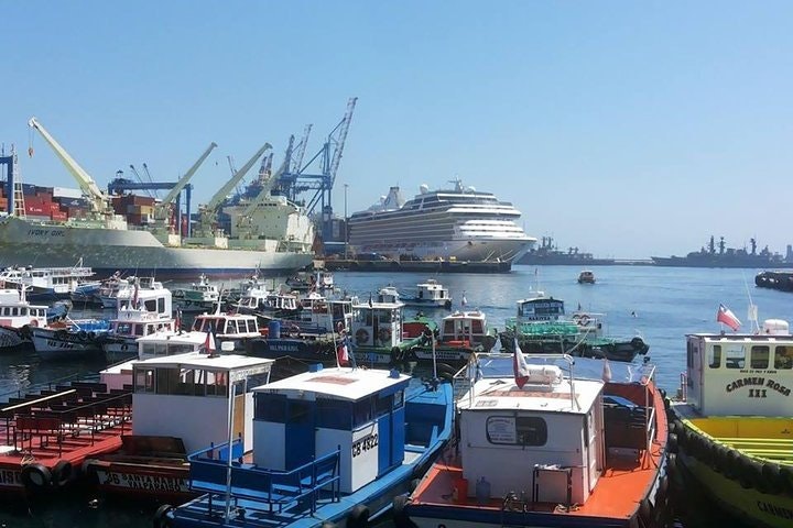 Full Day Viña Casas del Bosque + Viña del Mar Valparaíso - imagen #3