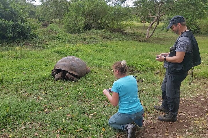 Transfer Airport-hotel in Galapagos Santa Cruz with visit to Giant Tortoises - imagen #10