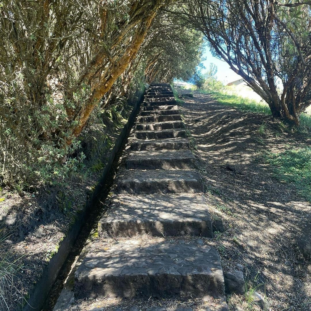 Caj-01: Maravillas de Cumbemayo: desentrañando el bosque de piedra - imagen #5