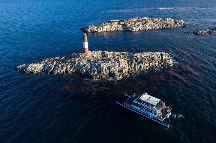 Ushuaia, Navigation Beagle Channel and Isla de Lobos - Half day - imagen #5