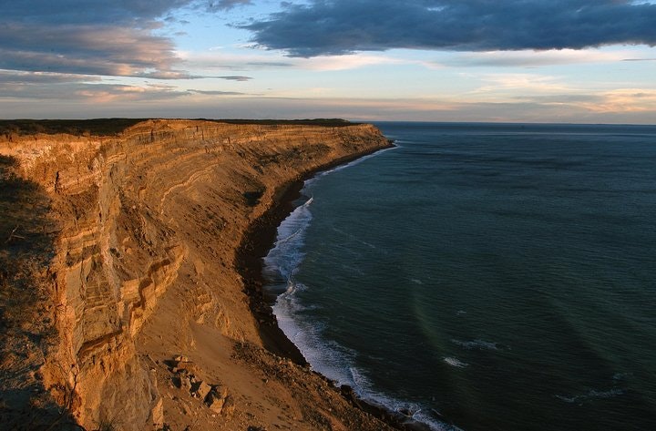 Peninsula Valdes Tour from Puerto Madryn With optional Whale Watching - imagen #4