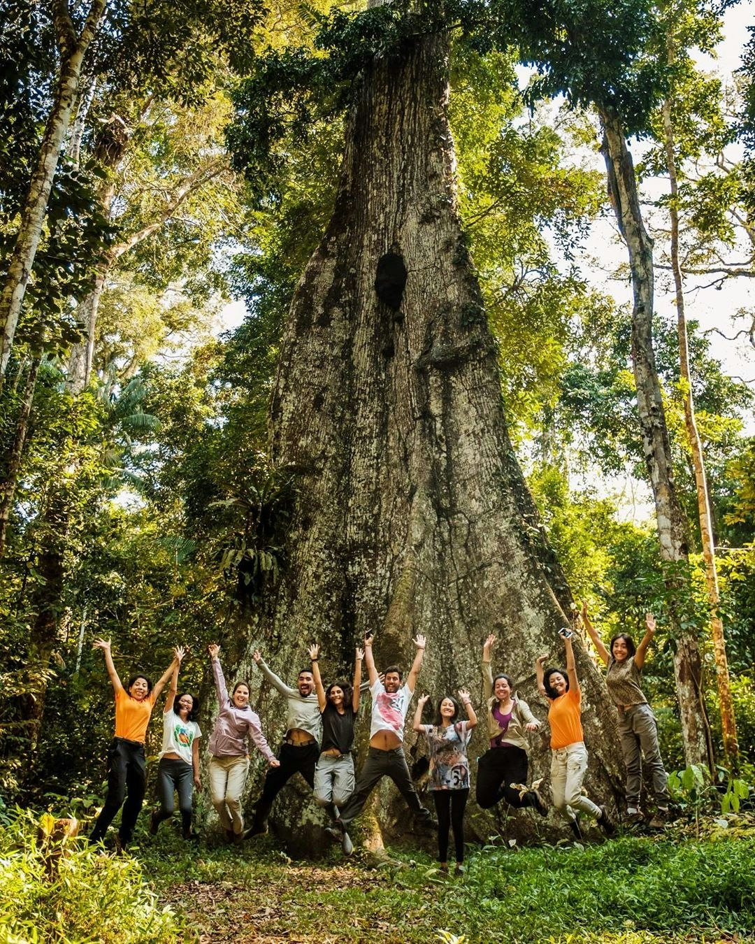 Iqu-04 : Amazon Expedition - 4 Days of Rainforest Marvels - imagen #11