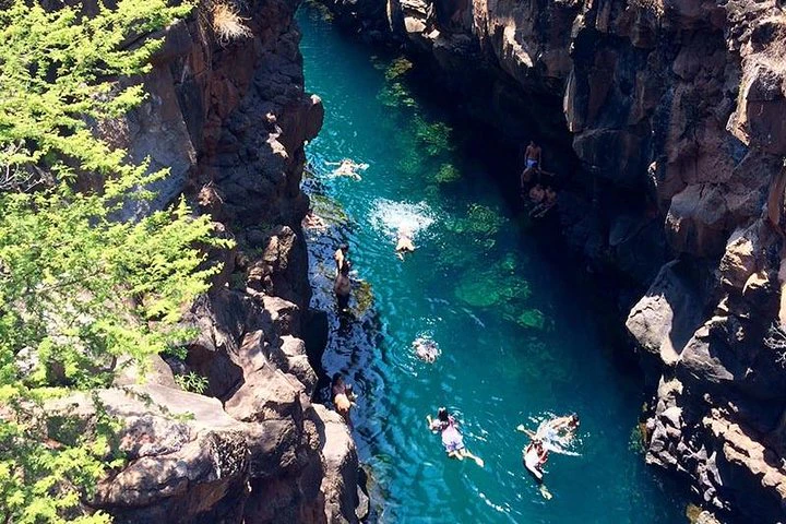 Recorrido por la bahía de Santa Cruz - Islas Galápagos - imagen #2