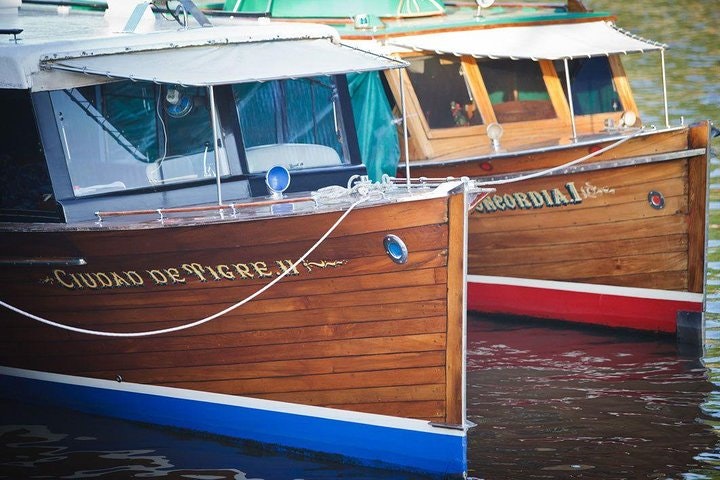 Tigre Delta Half-Day Tour & Cruise from Buenos Aires - imagen #2