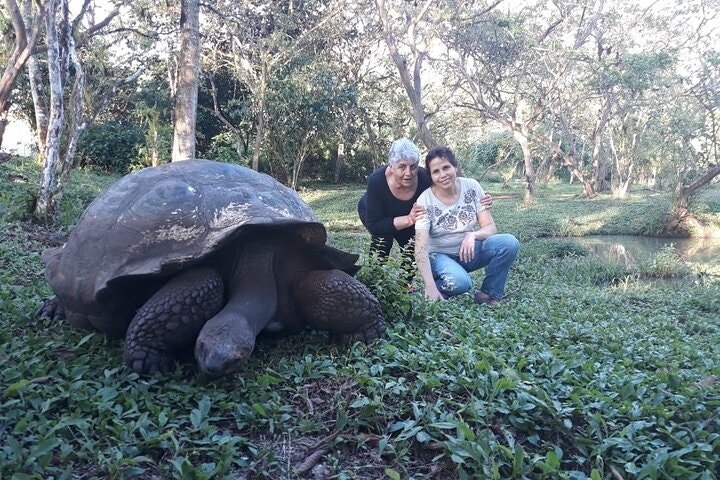 Transfer Airport-hotel in Galapagos Santa Cruz with visit to Giant Tortoises - imagen #2