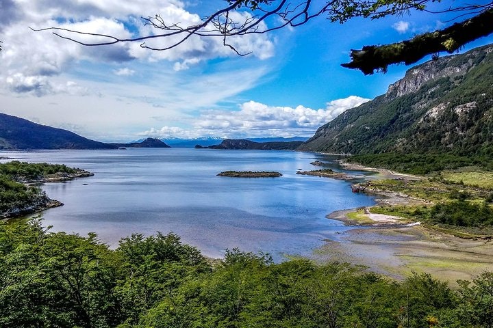 Half-Day Small-Group Tierra del Fuego National Park Tour - imagen #16