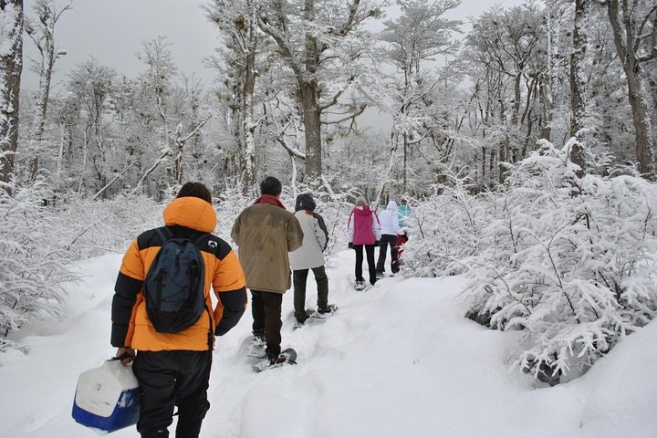 Día de nieve: Senderismo y motos de nieve en Ushuaia - imagen #3