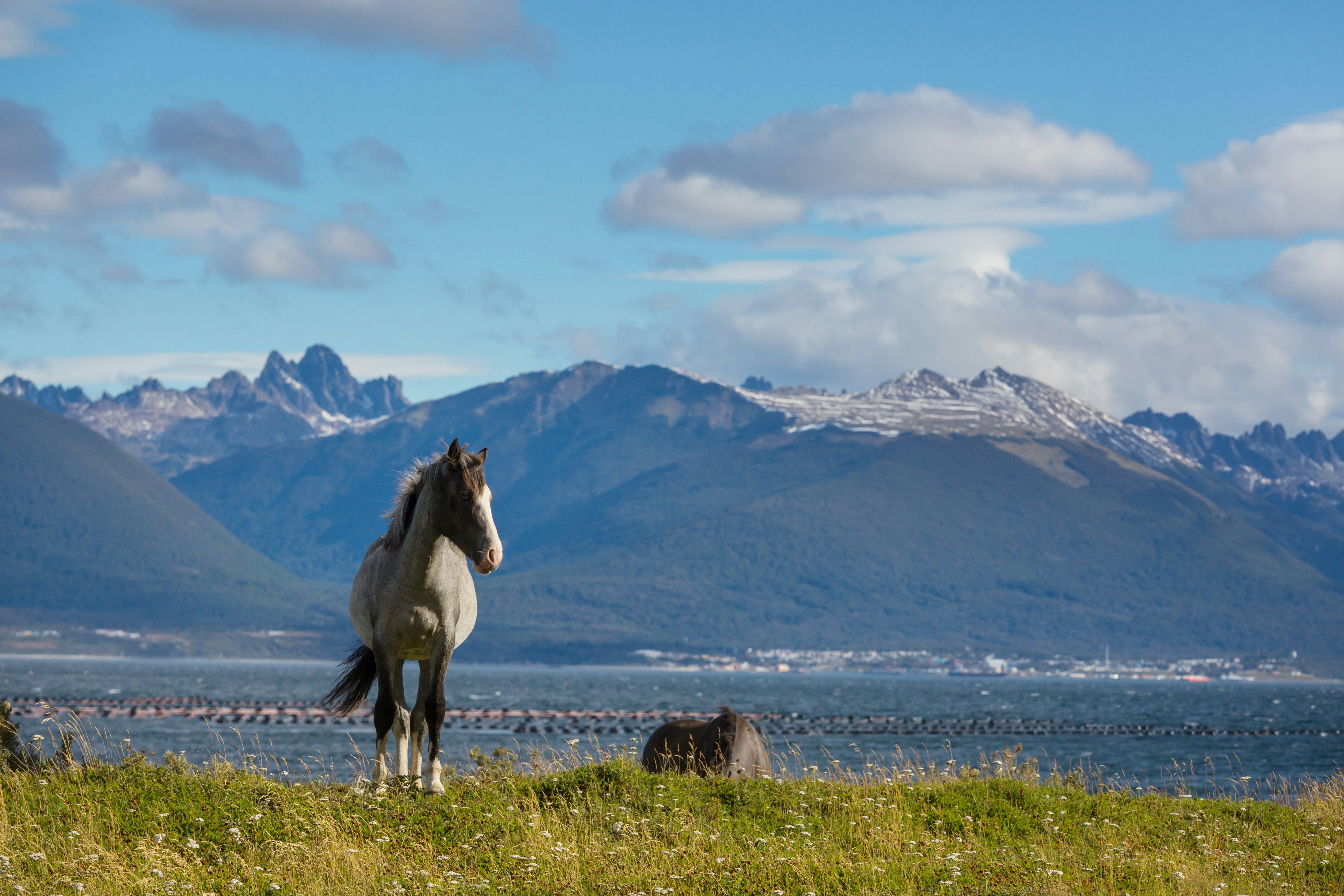 3-Day Ushuaia Escape with Optional Airfare from Buenos Aires - imagen #2