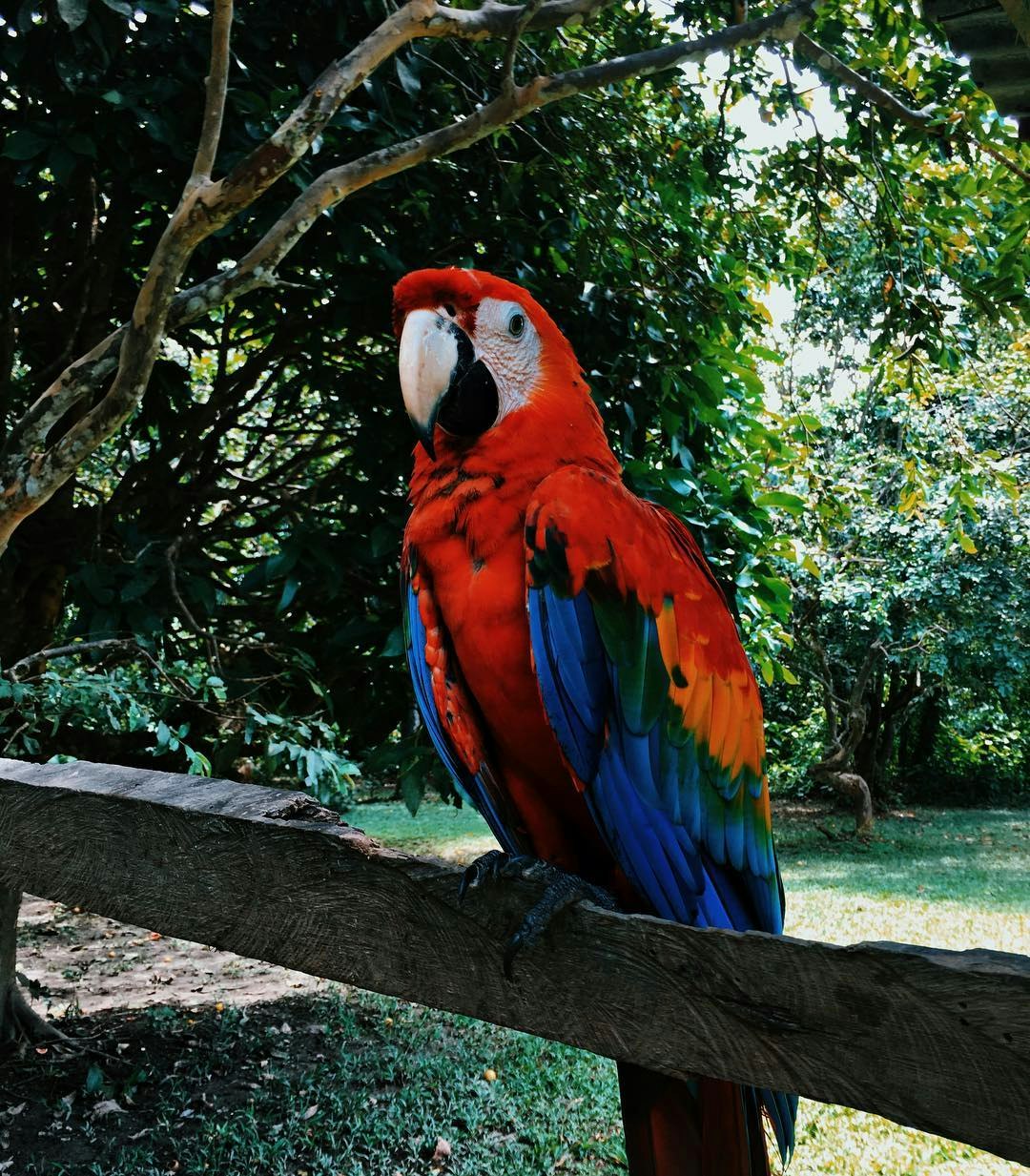 Lim-29 : Iquitos Jungle Adventure - 4 Days/3 Nights - imagen #11