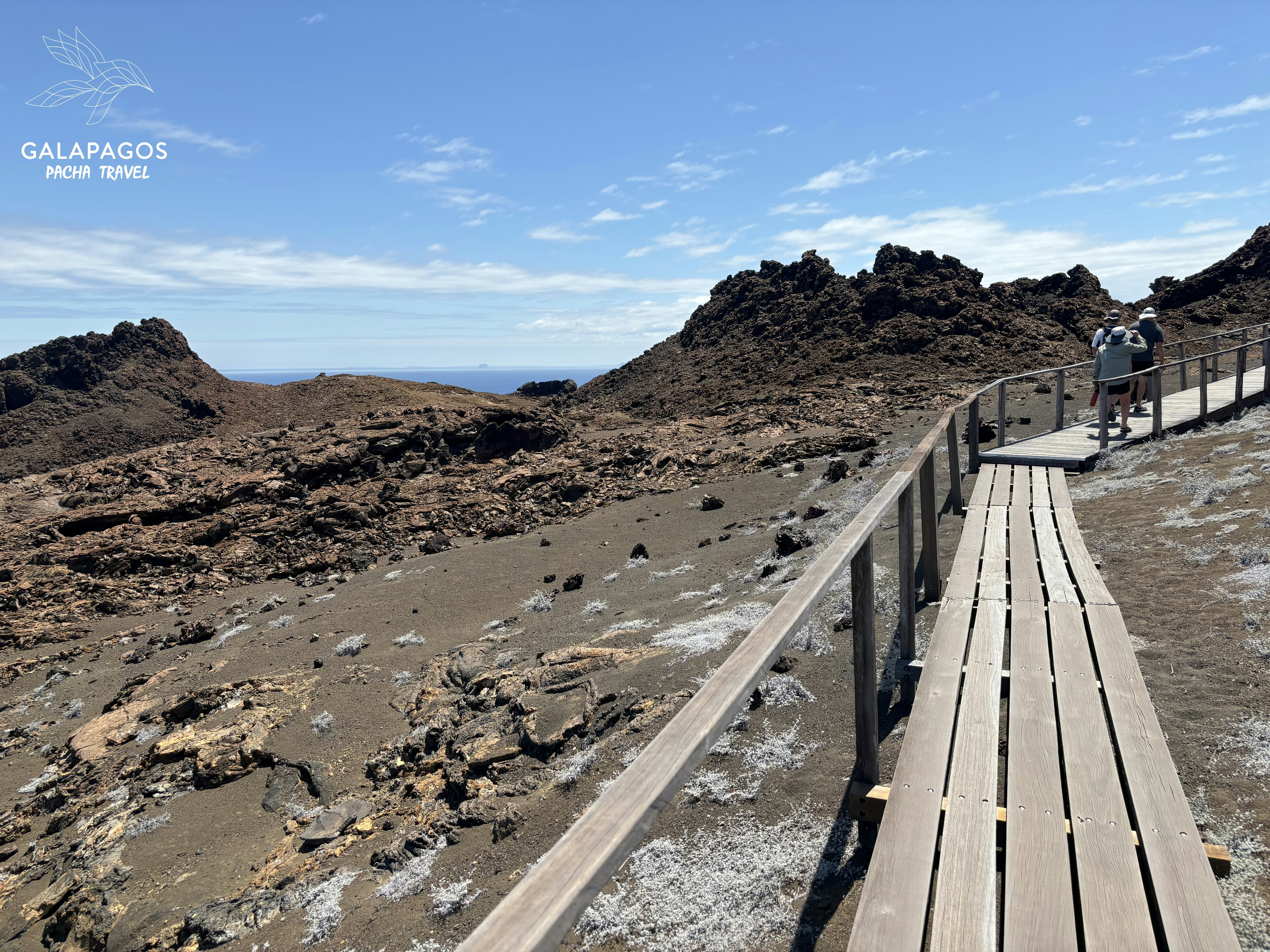 5 day / Sta. Cruz Highlands & C. Darwin RS, Bartolome, N. Seymour - imagen #4