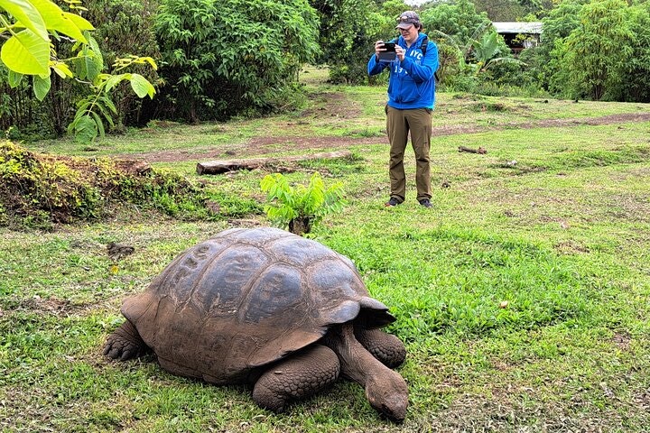 Transfer Airport-hotel in Galapagos Santa Cruz with visit to Giant Tortoises - imagen #12