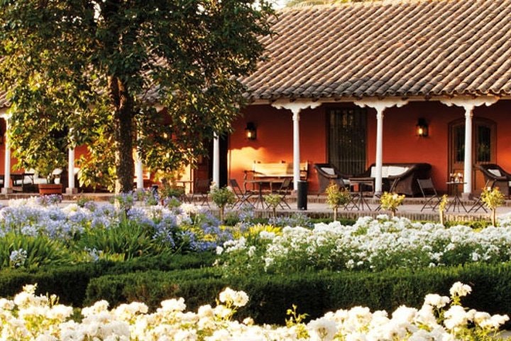 Half Day Trip to Santa Rita Vineyard from Santiago - Wine Tasting Included - imagen #3