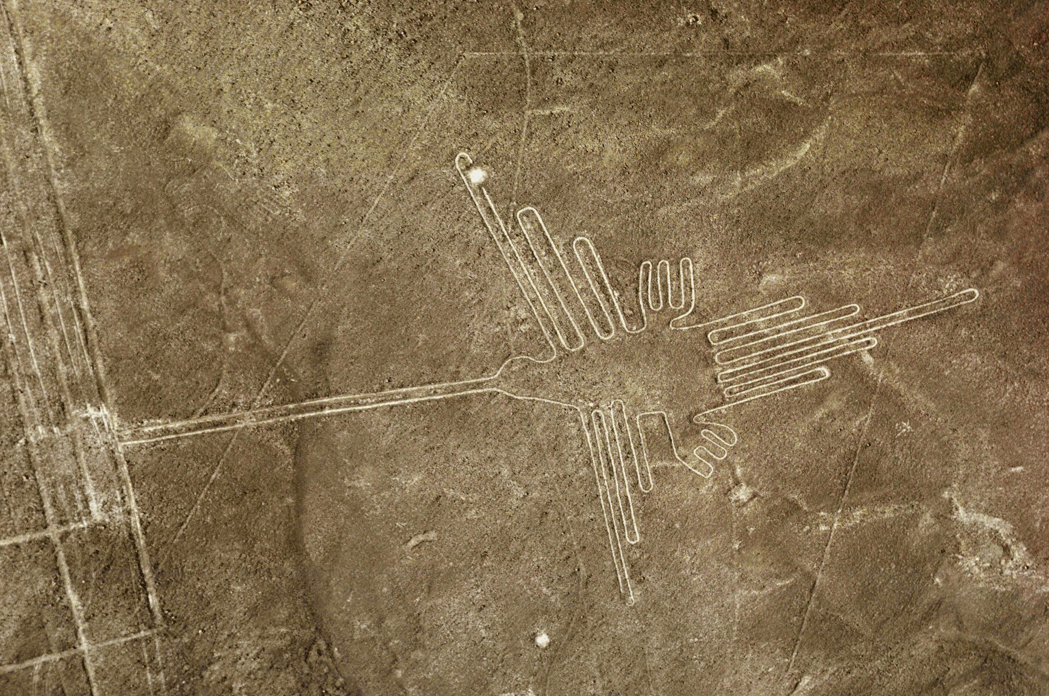 Excursión de día completo a las Líneas de Nazca desde Lima (autobús y vuelo) - imagen #8