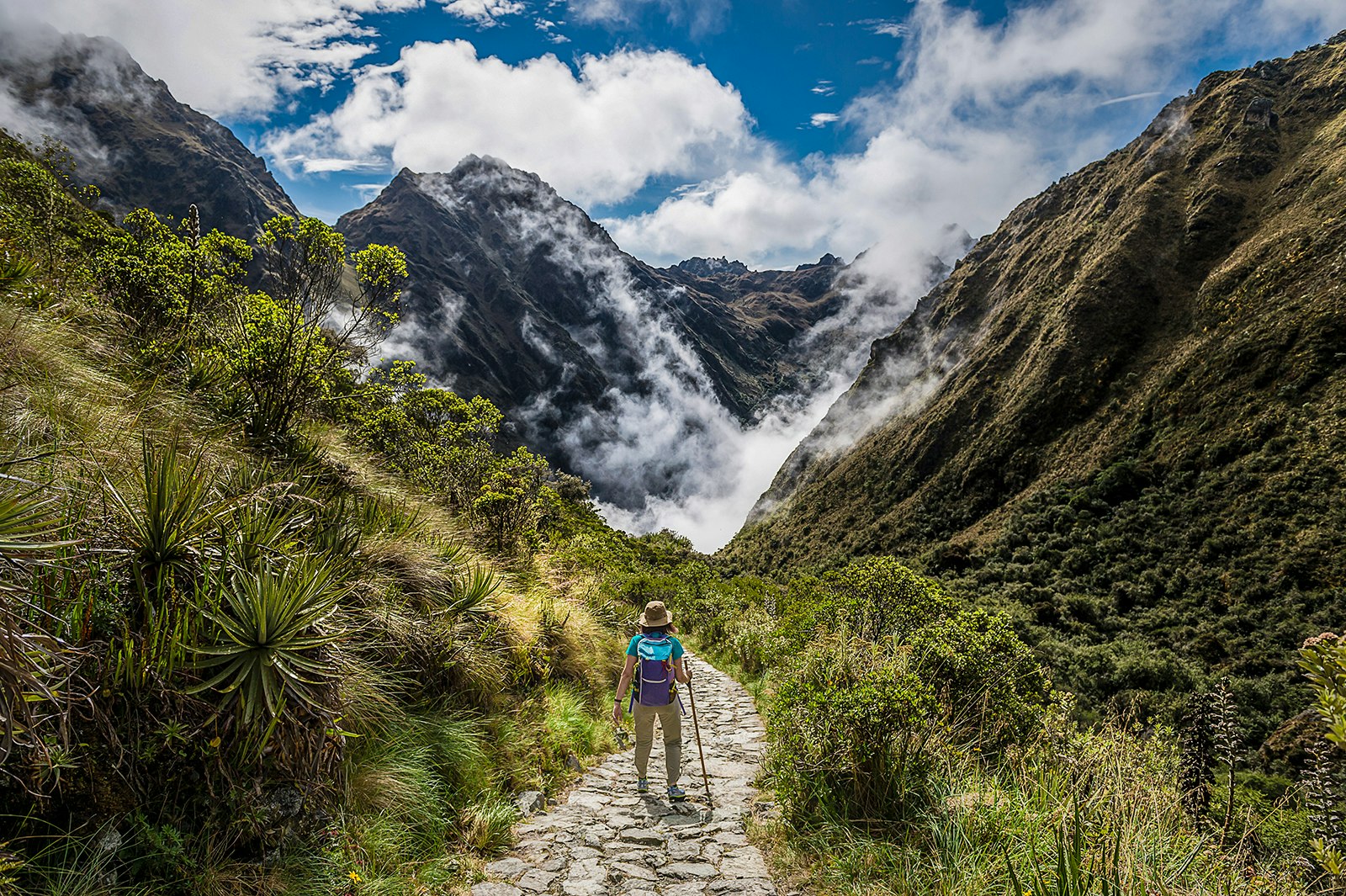 Cus-04 : Salkantay Trek - Epic Hike to Machu Picchu - imagen #12