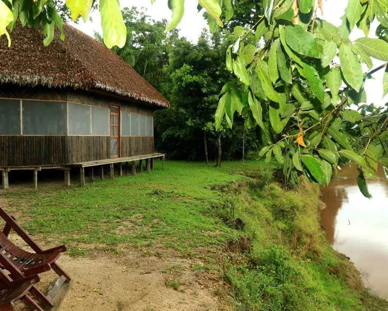 BO-RUR-02: Rurrenabaque | Excursión por la selva | 3 días/2 noches de inmersión en el Amazonas en el Parque Nacional Madidi - imagen #6