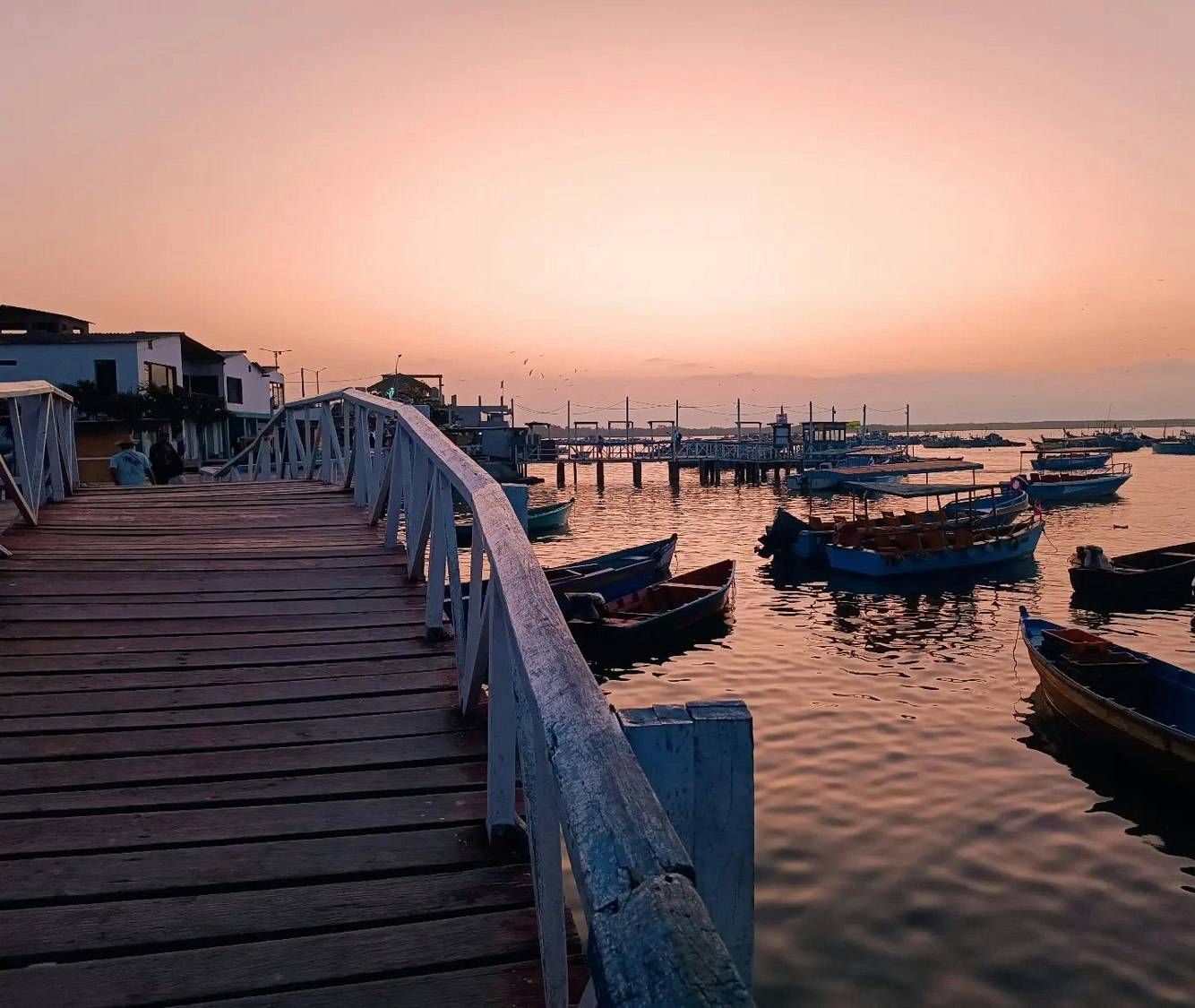 Tum-01 : Mangrove Marvels - Puerto Pizarro and Islands Tour - imagen #11