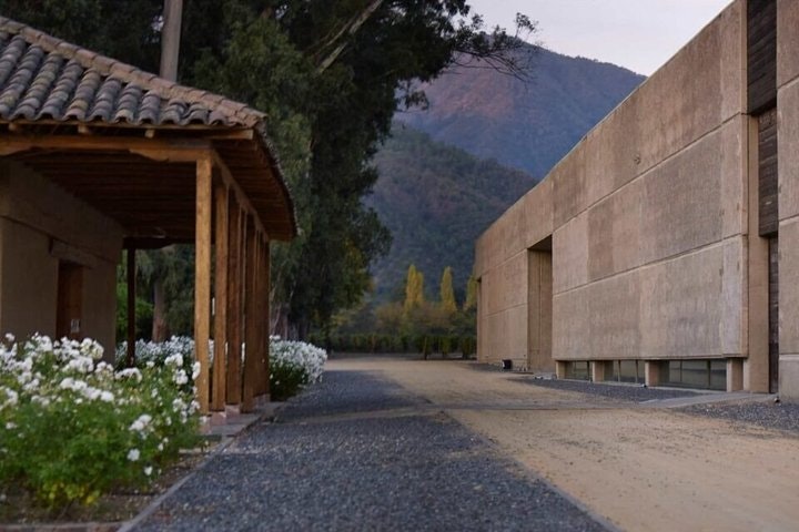 Full Day Guided Trip to Colchagua Valley - Visit to 2 Vineyards - imagen #3