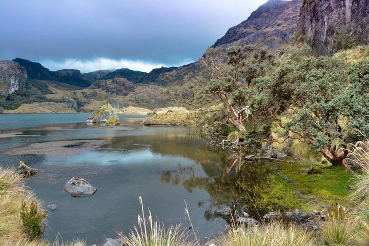 Excursión privada de medio día al Parque Nacional de Cajas desde Cuenca - imagen #3
