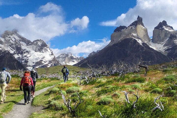 4-Day Trekking Experience at Torres del Paine from Puerto Natales - imagen #2