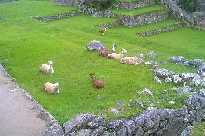 4-day Inca Trail Trek to Machu Picchu - imagen #3