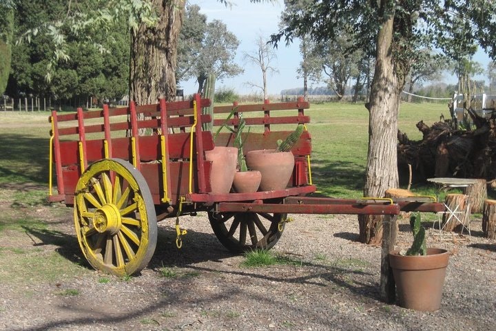 Gaucho Day Trip from Buenos Aires: Don Silvano Ranch - imagen #6