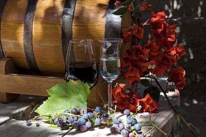 2-Day Pisco Tasting Journey in Ica with Viñas Queirolo Hotel Stay From Lima - imagen #3