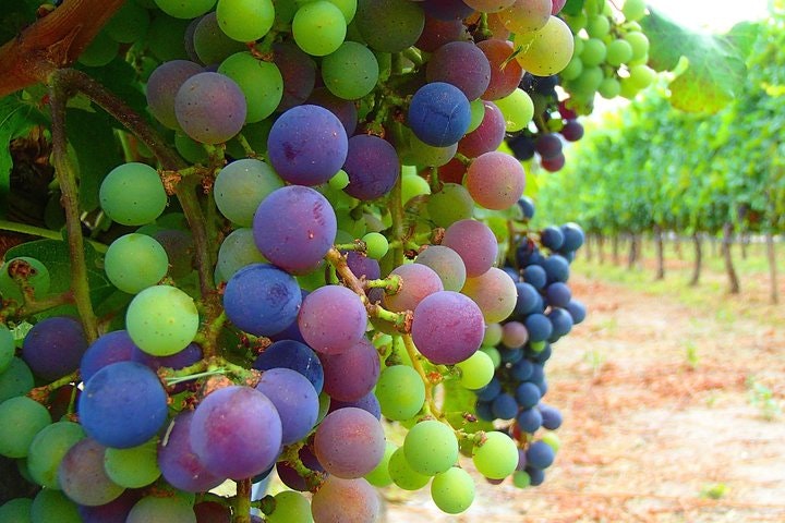 5-Day Salta Private Luxury Trip - imagen #2