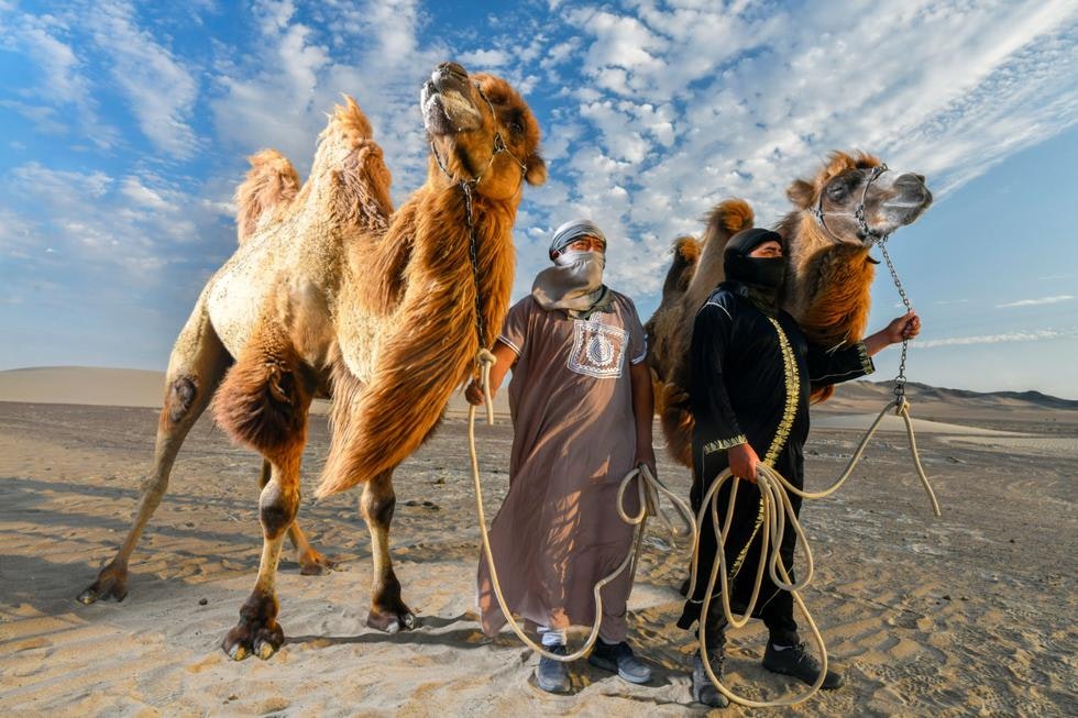 Ica-04 : Camel Ride - Unforgettable Desert Experience - imagen #5