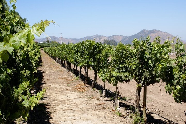 7-Day Santiago & Easter Island Tour - imagen #5