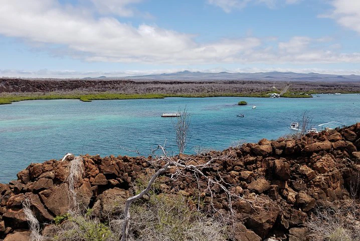 4 días en las Galápagos: las islas Isabela y Santa Cruz - imagen #6