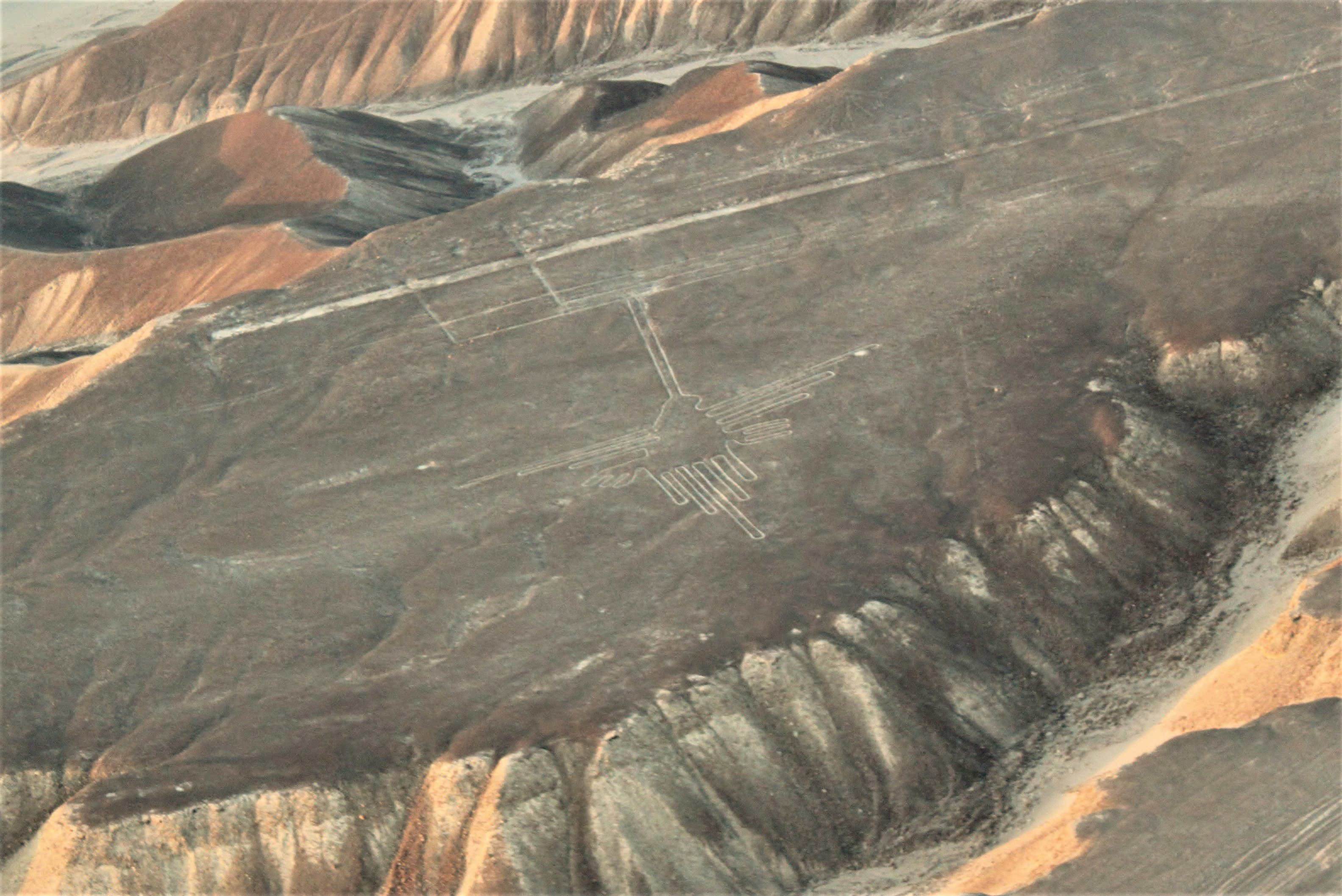 Nazca Lines & Ballestas Islands Private Full Day Tour from Lima - imagen #11