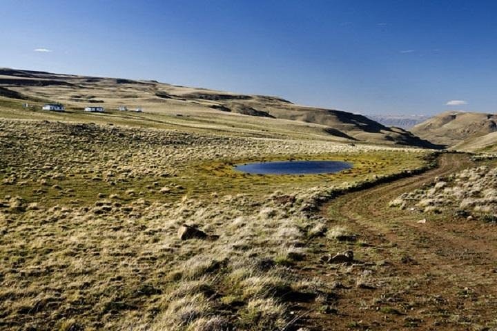 El Calafate Safari Experience - imagen #3